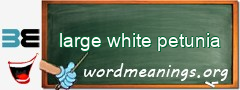 WordMeaning blackboard for large white petunia